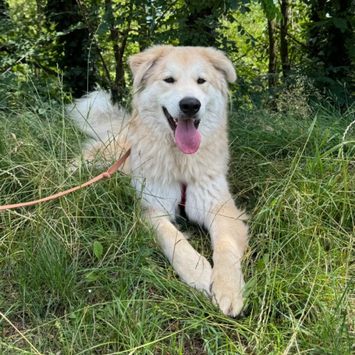 ALDO