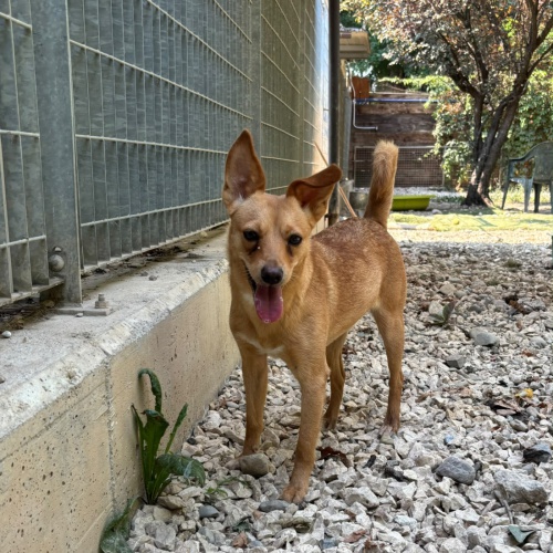 MILLY