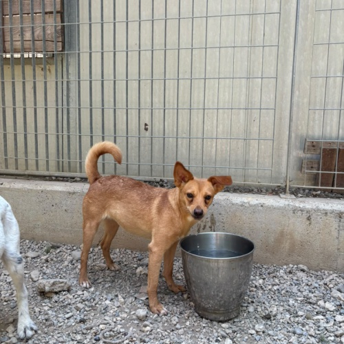 MILLY