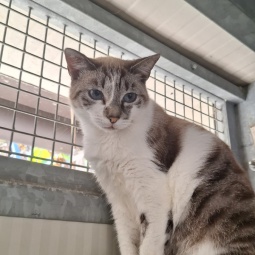 LUNA