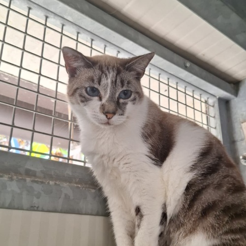 LUNA