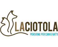 la ciotola